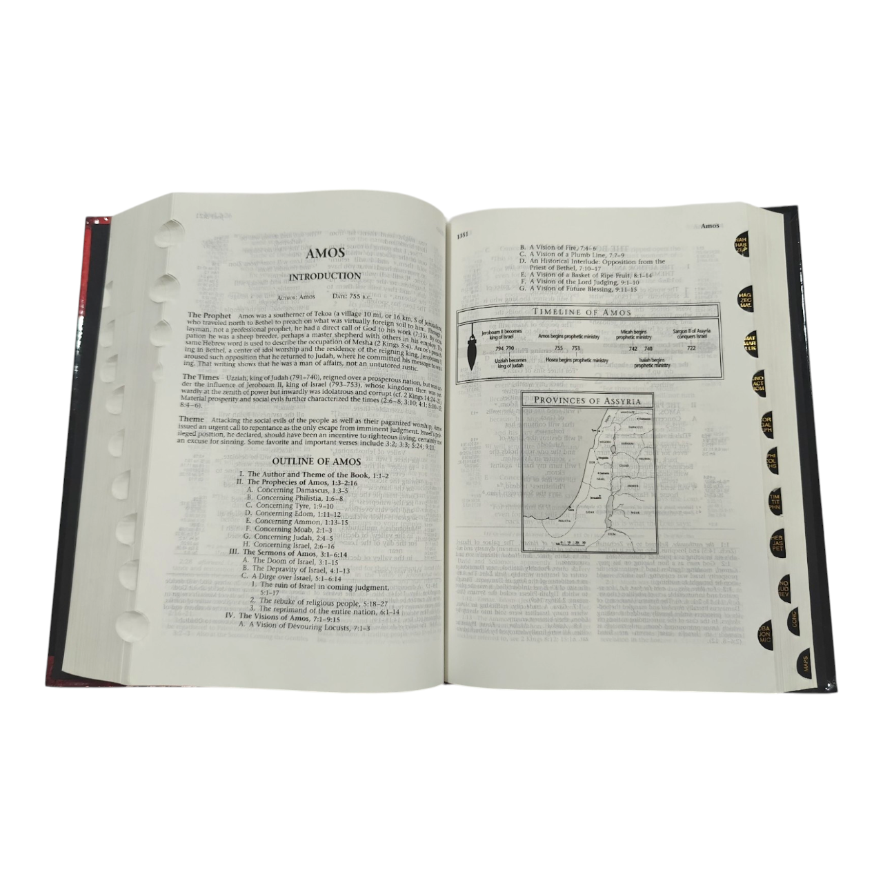 The Ryrie NIV Study Bible, Expanded Edition, 10,000+ Explanatory Notes, Red Letter (Charles C. Ryrie, Moody)