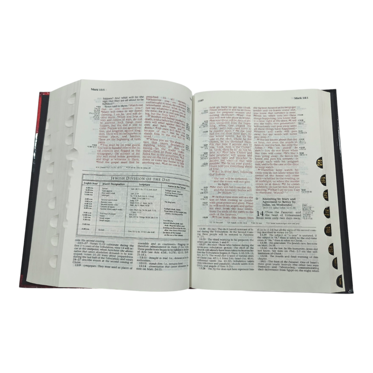 The Ryrie NIV Study Bible, Expanded Edition, 10,000+ Explanatory Notes, Red Letter (Charles C. Ryrie, Moody)