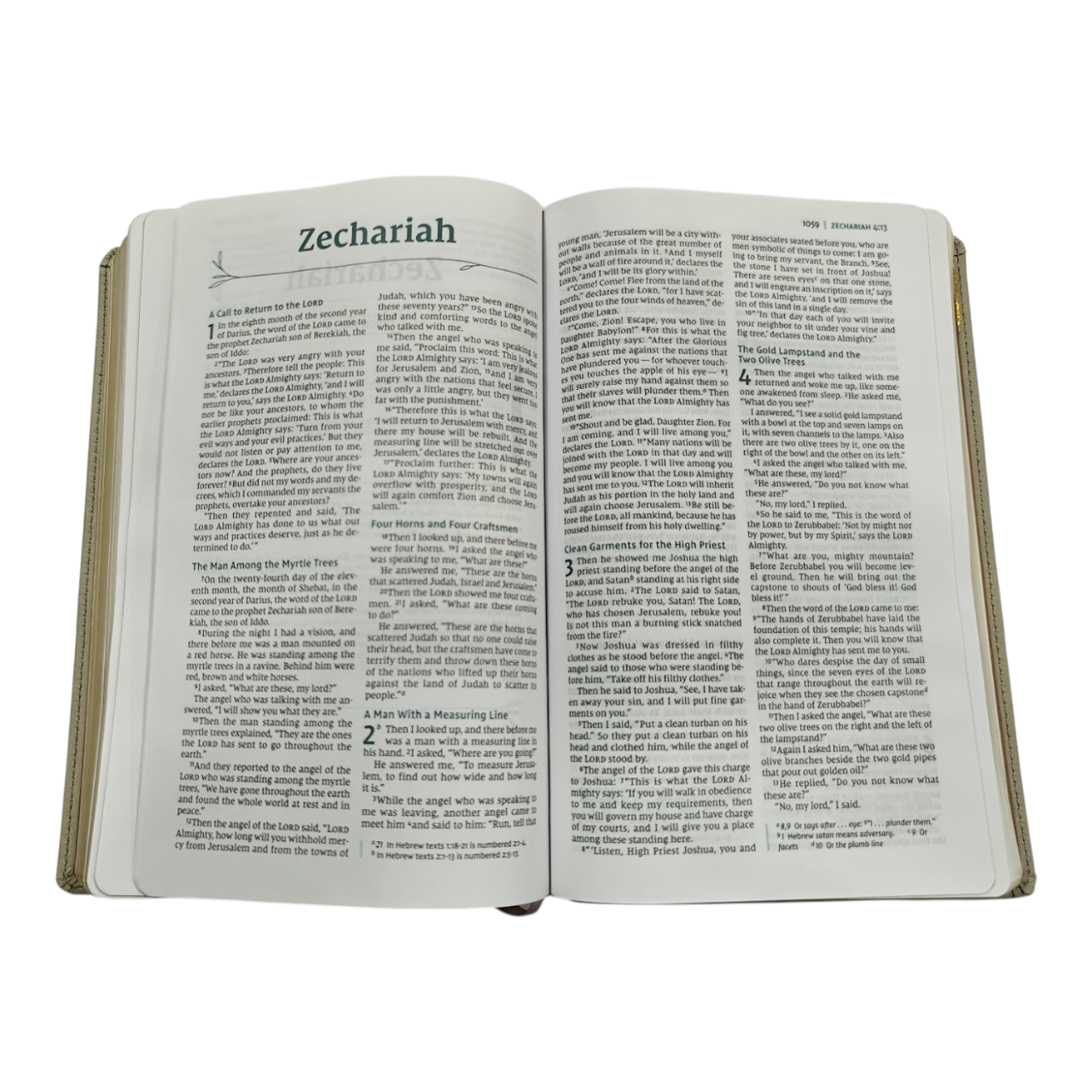 NIV Couple's Devotional Bible New International Version