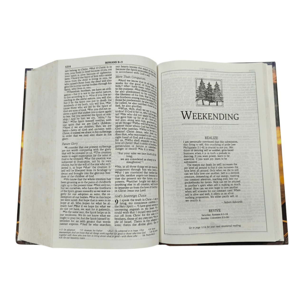 NIV Men's Devotional Bible, Classic Edition | Daily Devotions for a Year of Spiritual Growth
