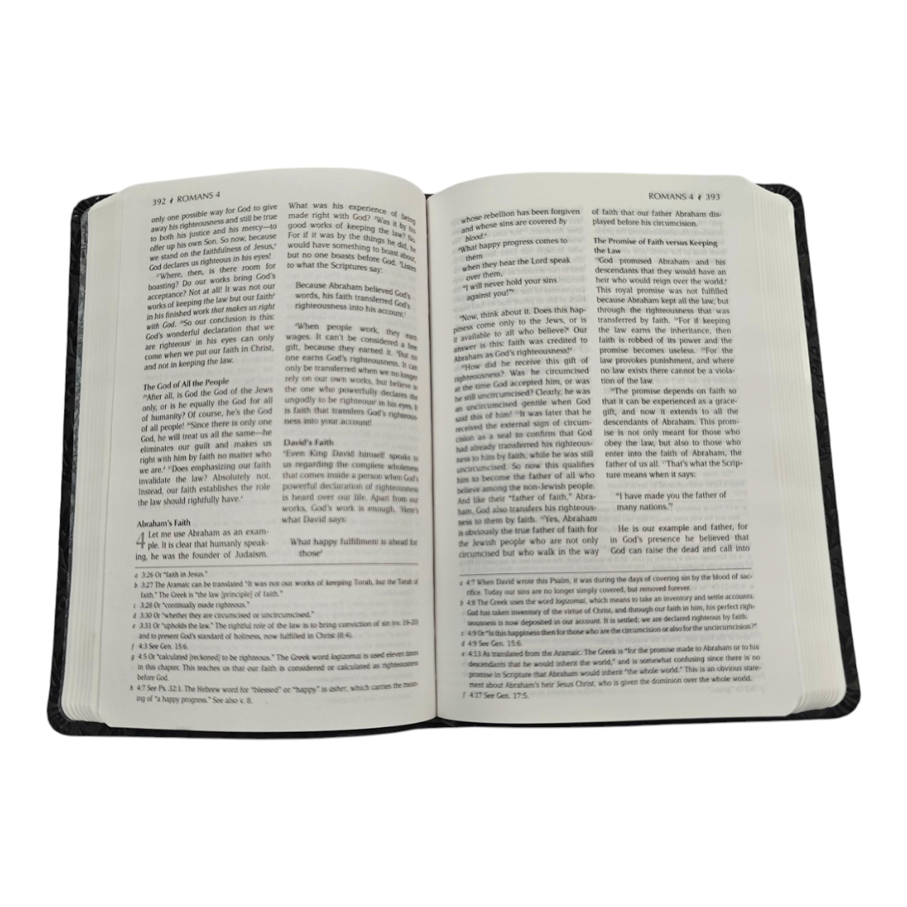 The Passion Translation New Testament Masterpiece Edition