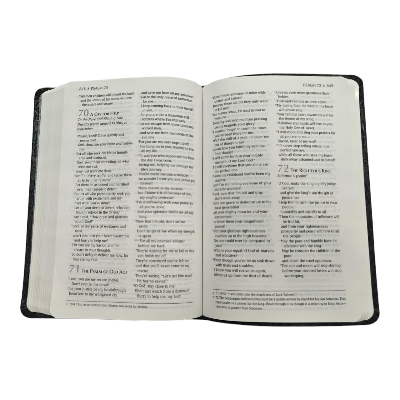 The Passion Translation New Testament Masterpiece Edition