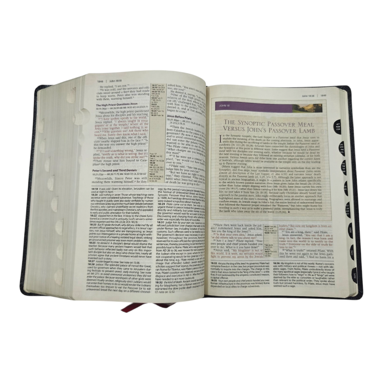 NIV Cultural Backgrounds Study Bible New International Version