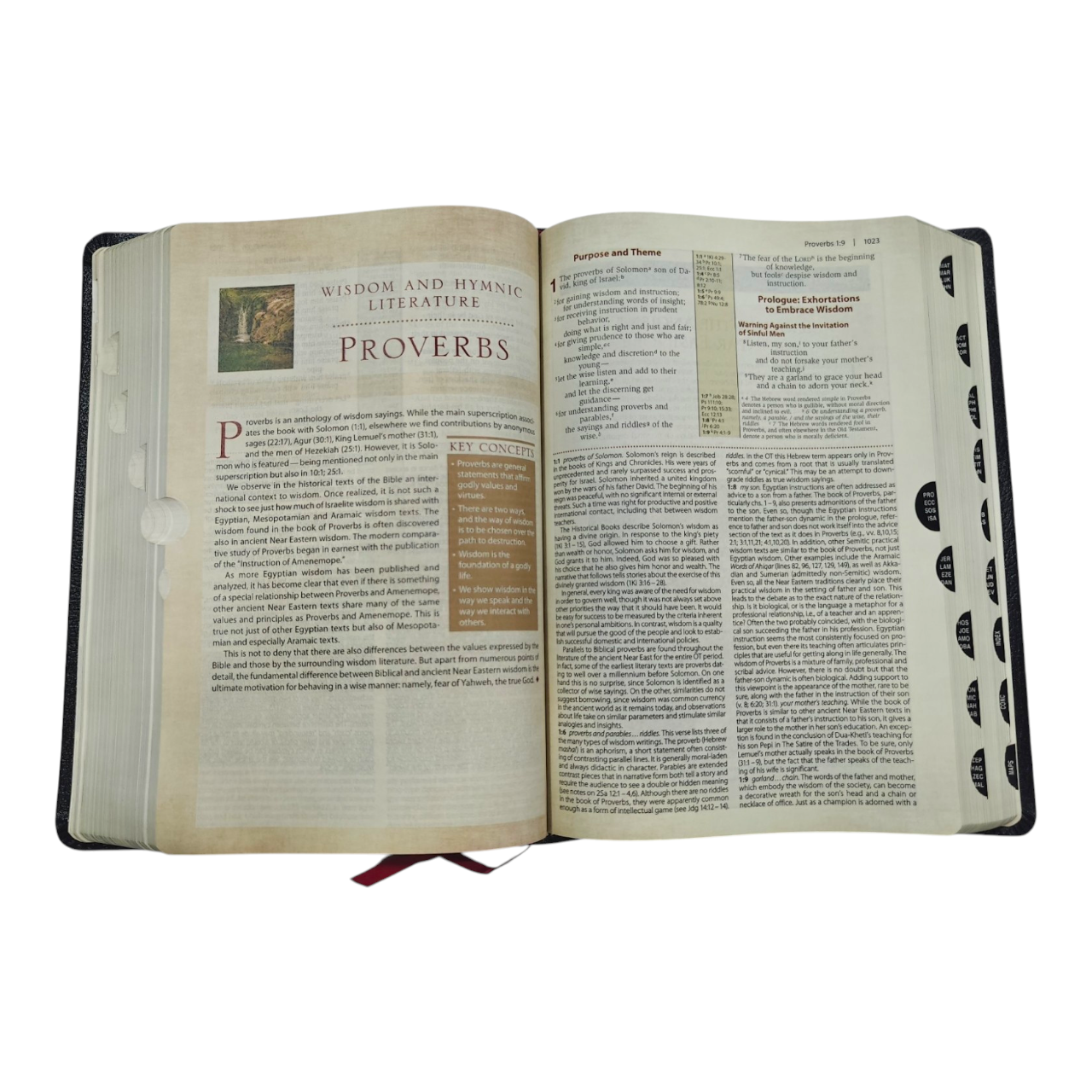 NIV Cultural Backgrounds Study Bible New International Version