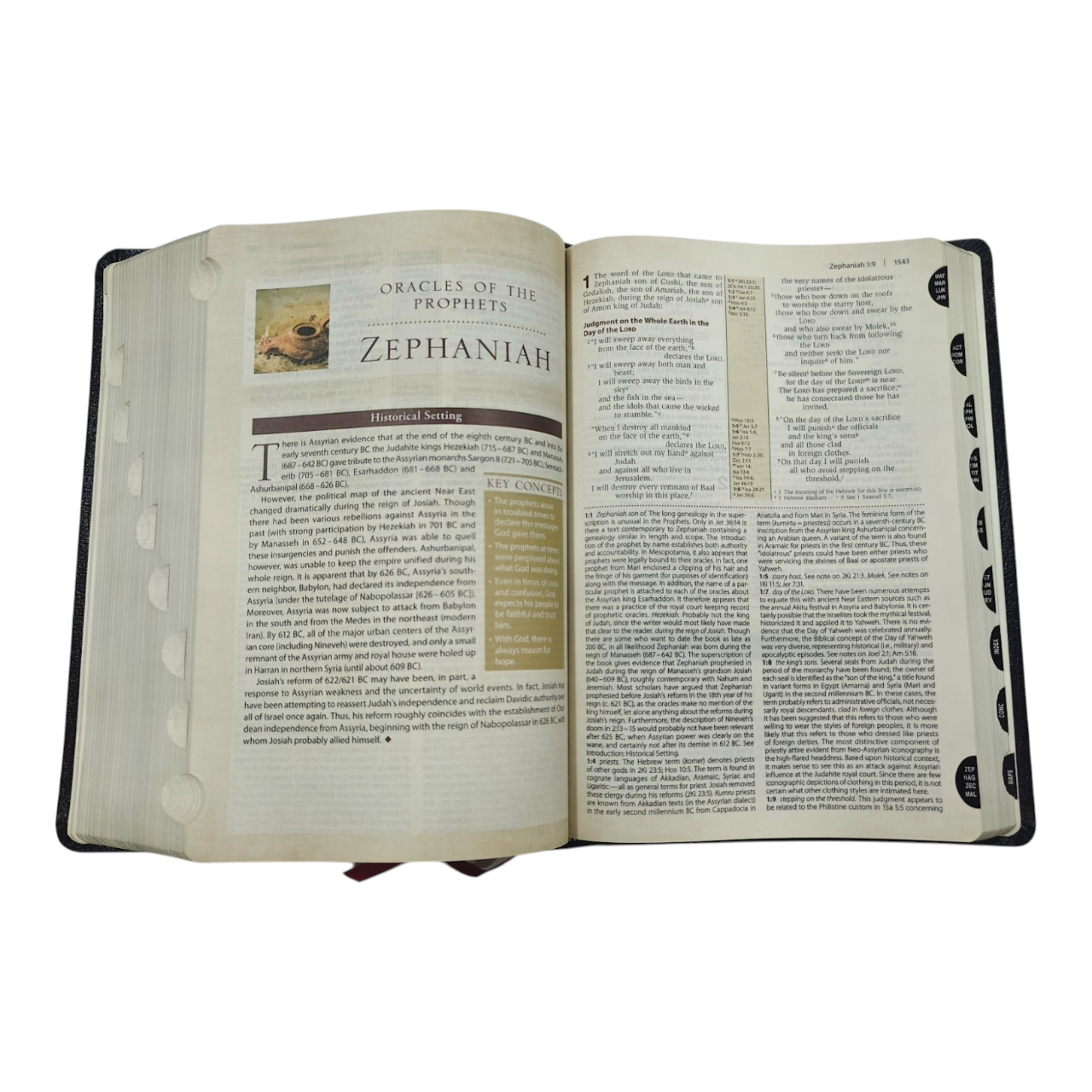 NIV Cultural Backgrounds Study Bible New International Version