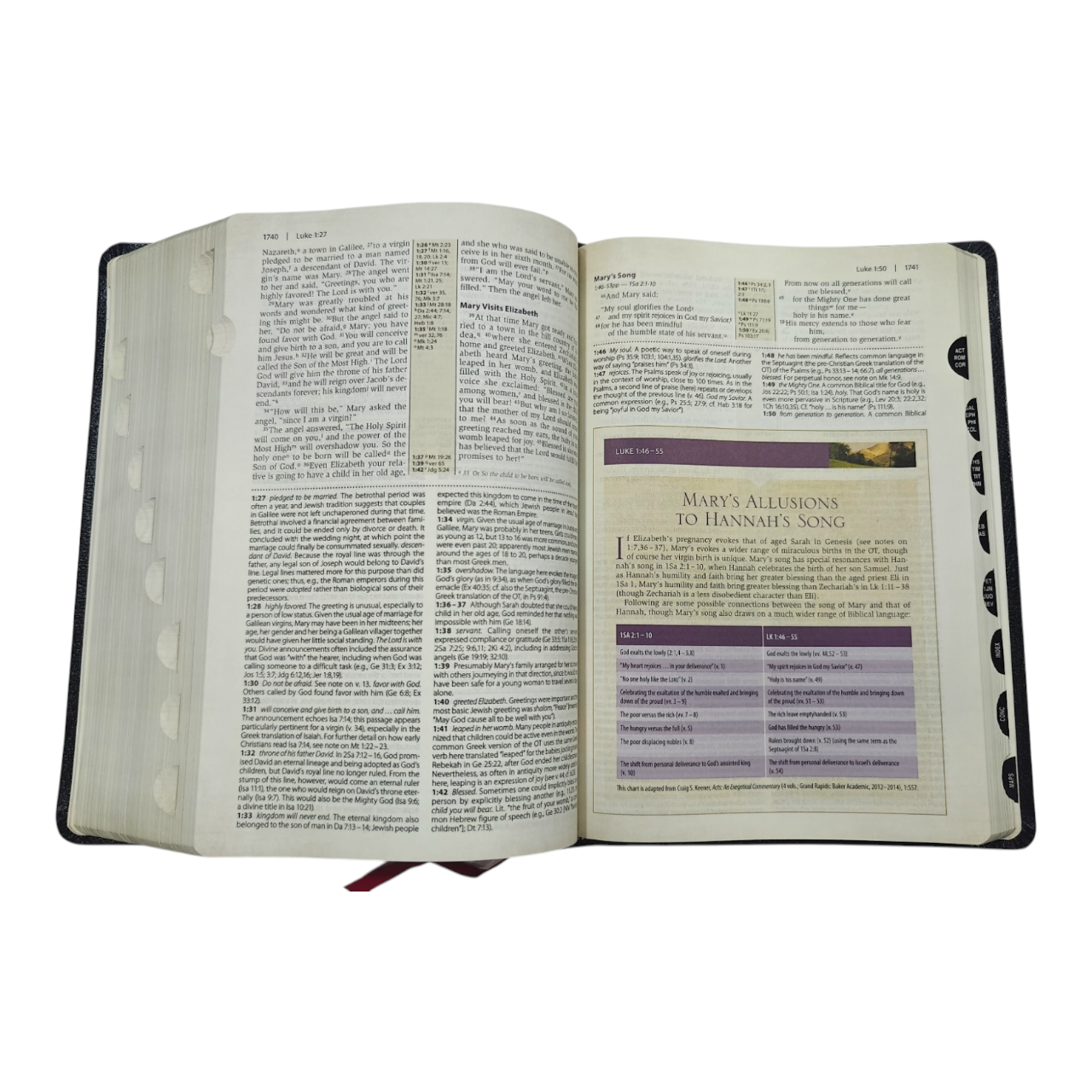 NIV Cultural Backgrounds Study Bible New International Version