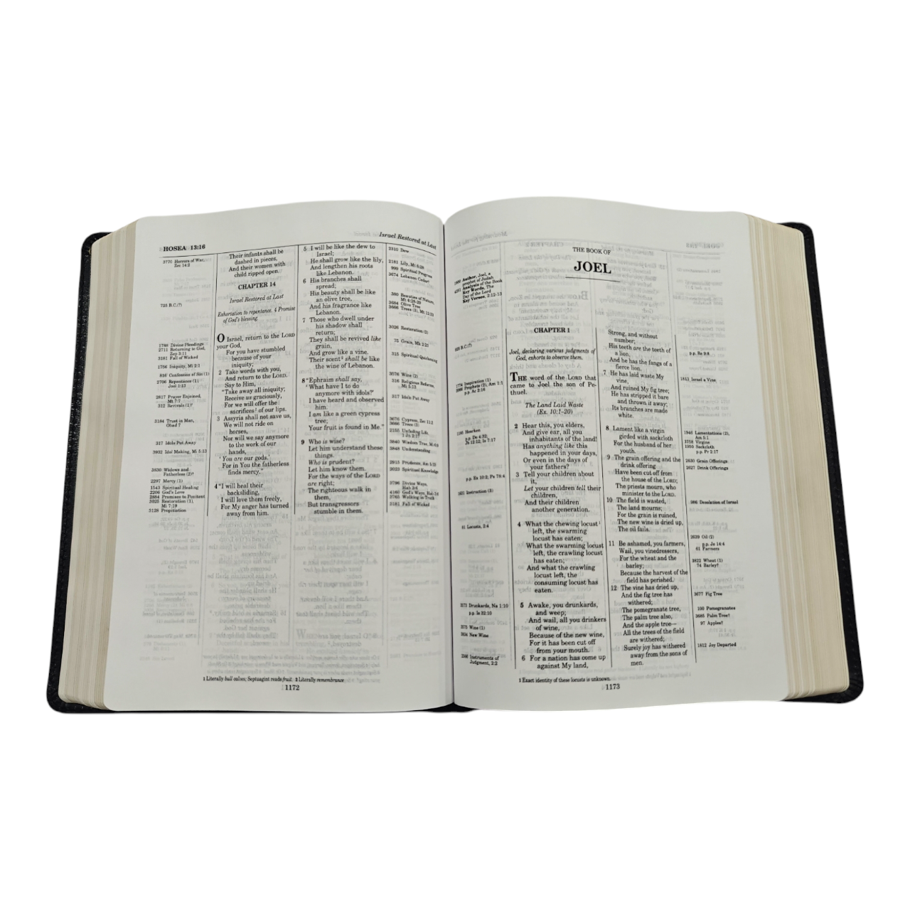 NKJV Thompson Chain-Reference Bible Premium Goatskin Leather Black Premier Collection Comfort Print