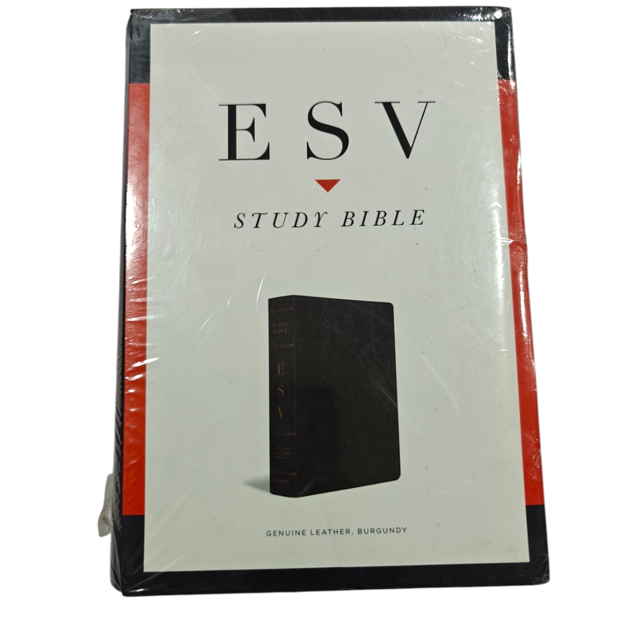 ESV Study Bible, Large Print, Hardcover | Comfortable Reading for In-Depth Biblical Study