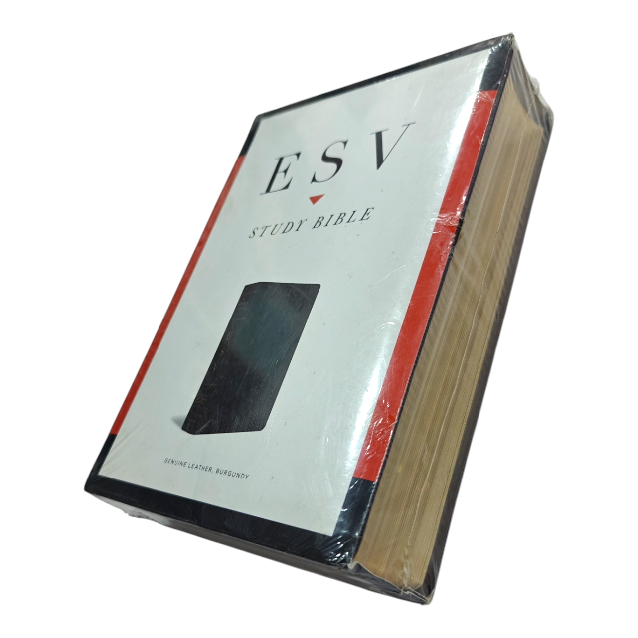 ESV Study Bible, Large Print, Hardcover | Comfortable Reading for In-Depth Biblical Study