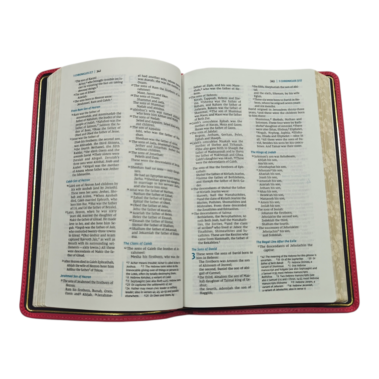 NIV Thinline Bible, Premier Collection, Premium Goatskin Leather, Comfort Print