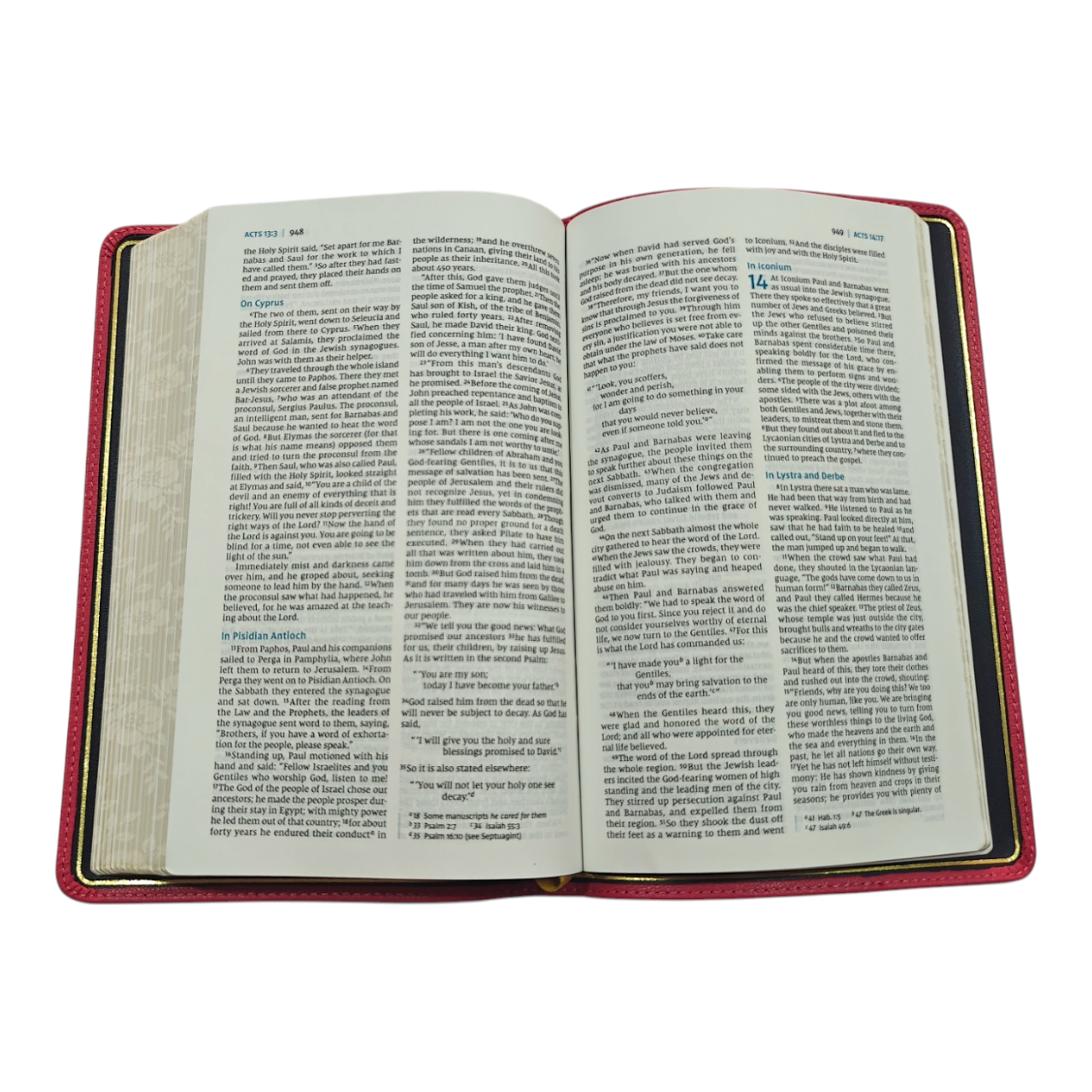 NIV Thinline Bible, Premier Collection, Premium Goatskin Leather, Comfort Print