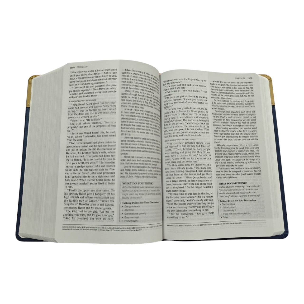 Standard Lesson Study Bible, 60 Years of Commentary (NIV / KJV Adult Study Bible)