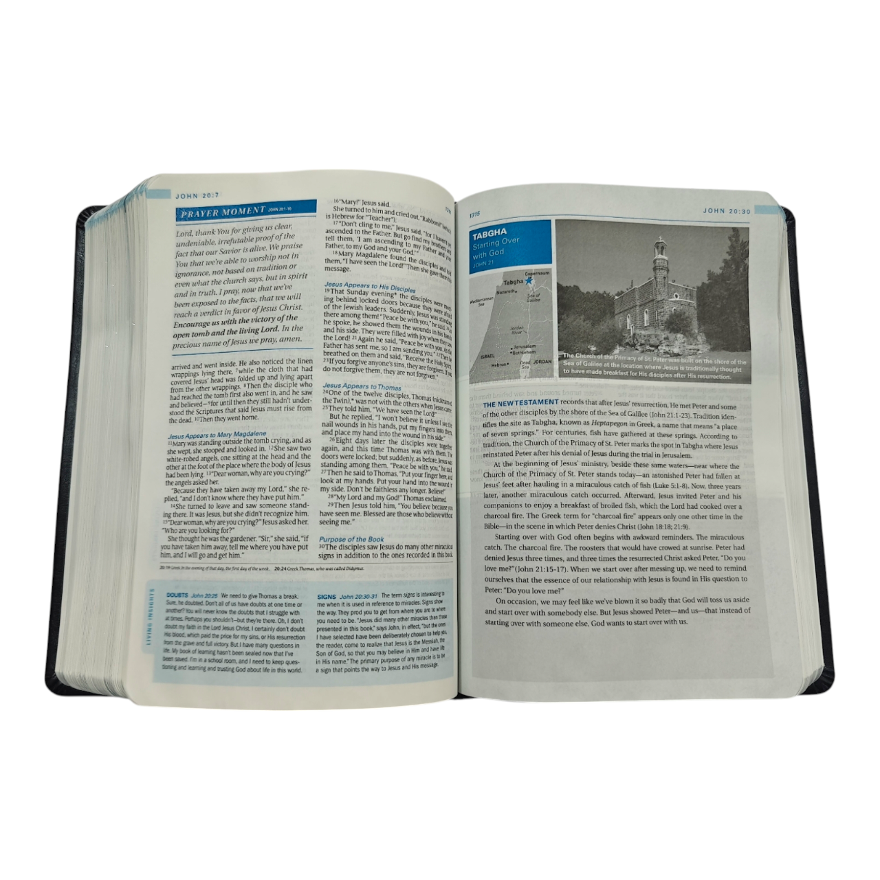 The Swindoll Study Bible NLT, Charles Swindoll Study Notes, Application Articles & Holy Land Tour, Bible of the Year (New Living Translation)