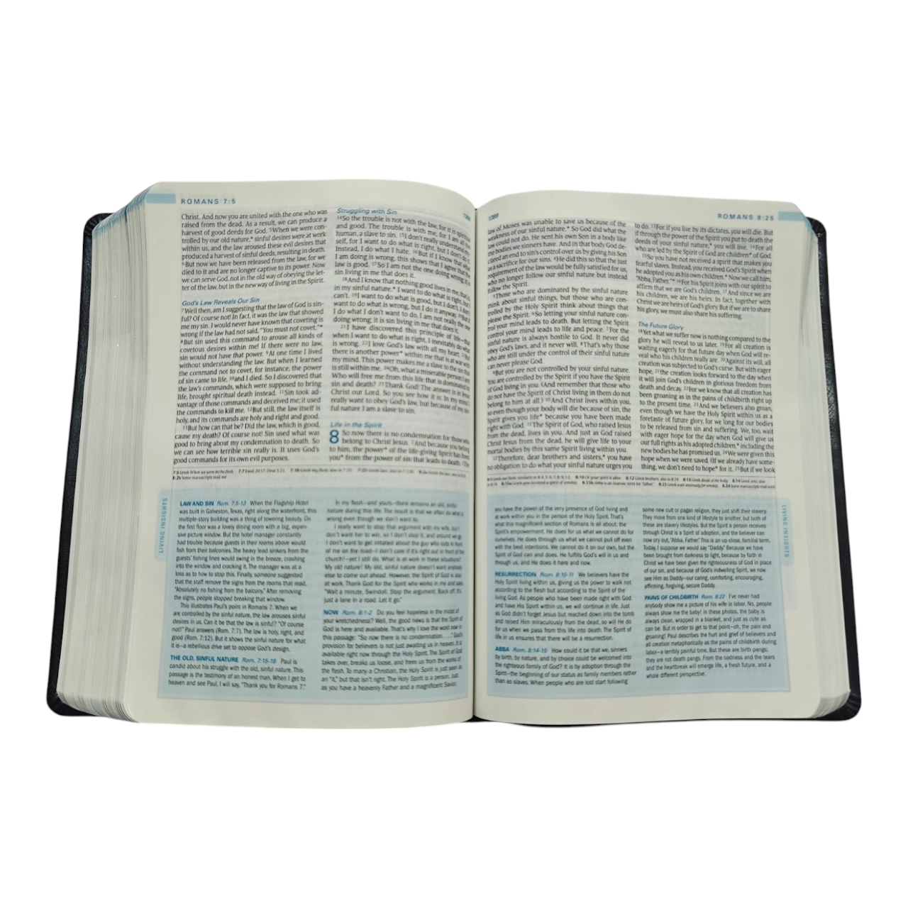 The Swindoll Study Bible NLT, Charles Swindoll Study Notes, Application Articles & Holy Land Tour, Bible of the Year (New Living Translation)