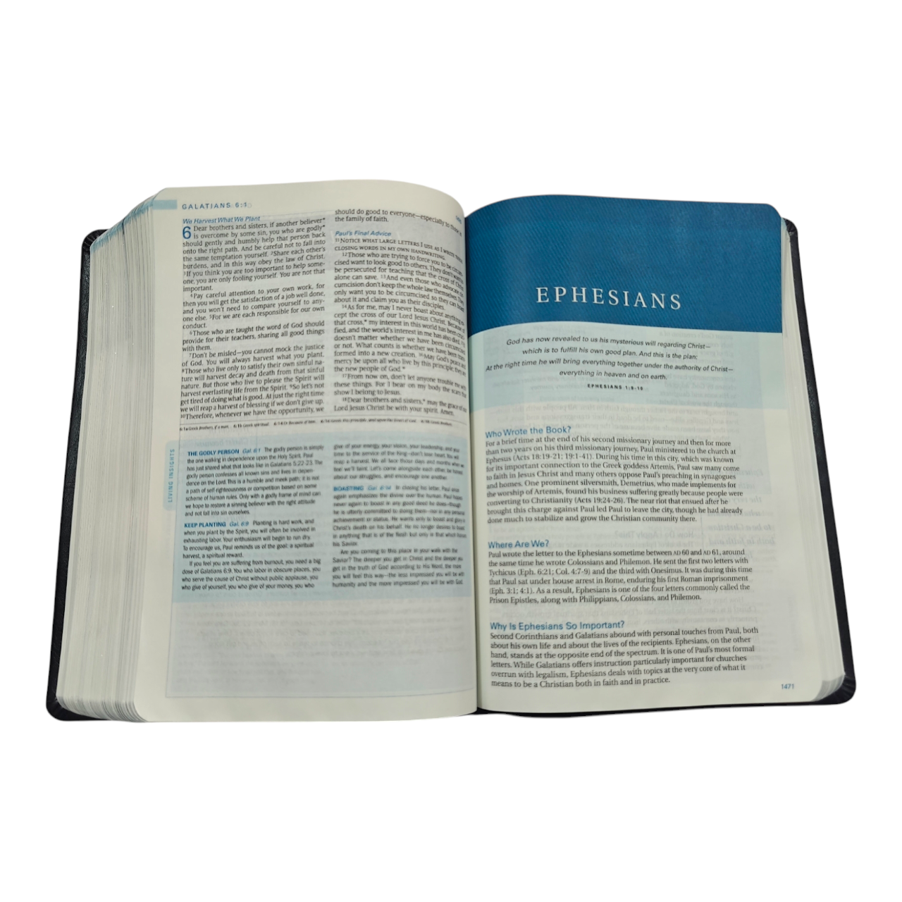 The Swindoll Study Bible NLT, Charles Swindoll Study Notes, Application Articles & Holy Land Tour, Bible of the Year (New Living Translation)