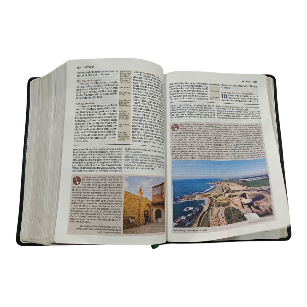 Evangelical Study Bible: Christ-Centered. Faith-Building. Mission-Focused. (NKJV, Black Bonded Leather, Red Letter, Thumb Indexed, Large Comfort Print)