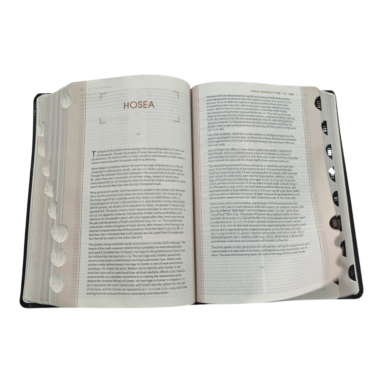 NIV Grace & Truth Study Bible, Thumb Index, Comfort Print, Red Letter Edition