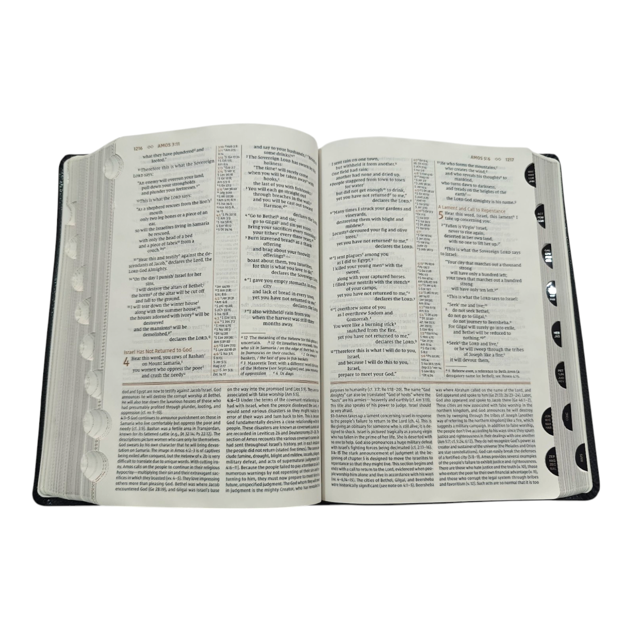 NIV Grace & Truth Study Bible, Thumb Index, Comfort Print, Red Letter Edition