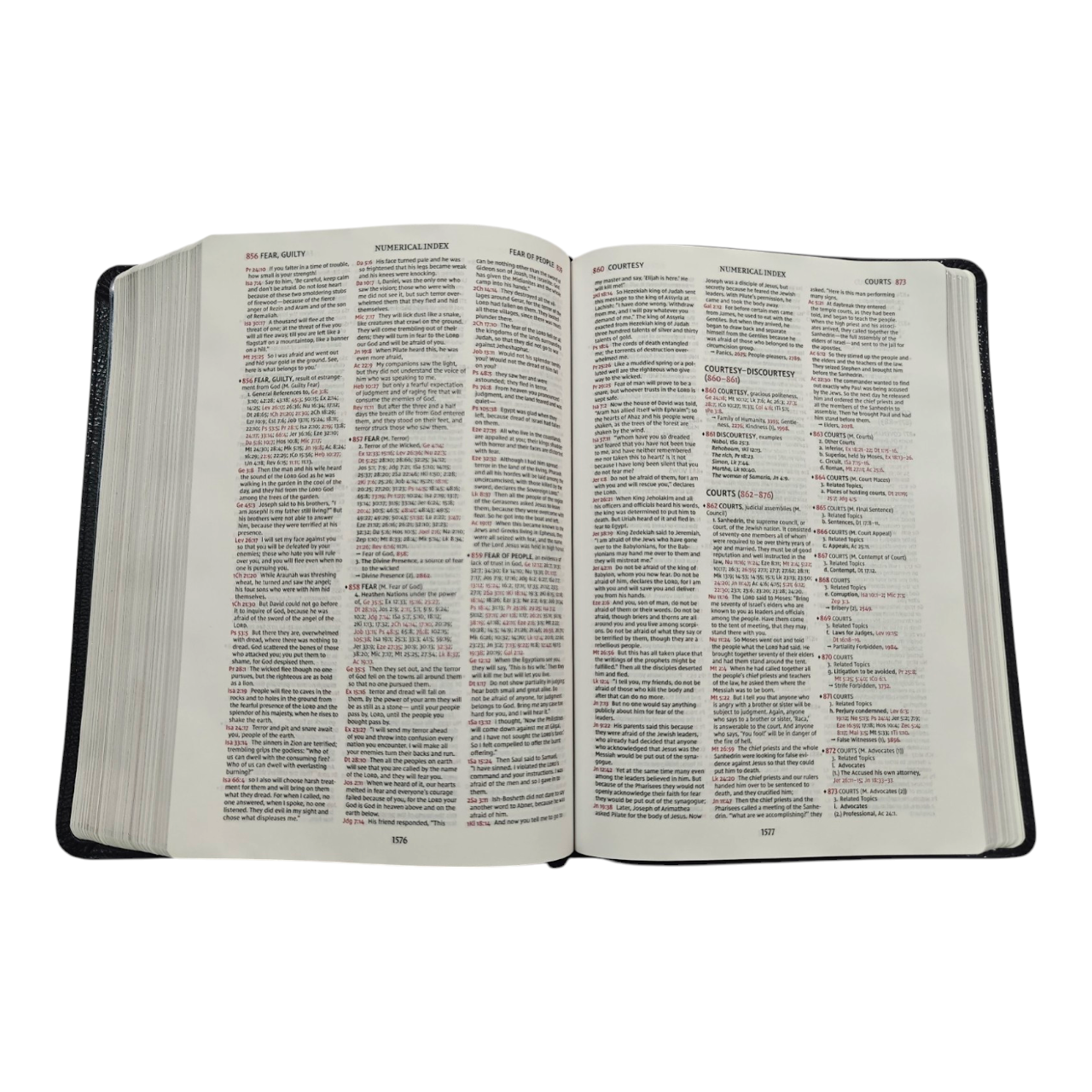 NIV Thompson Chain-Reference Bible, Red Letter, Comfort Print