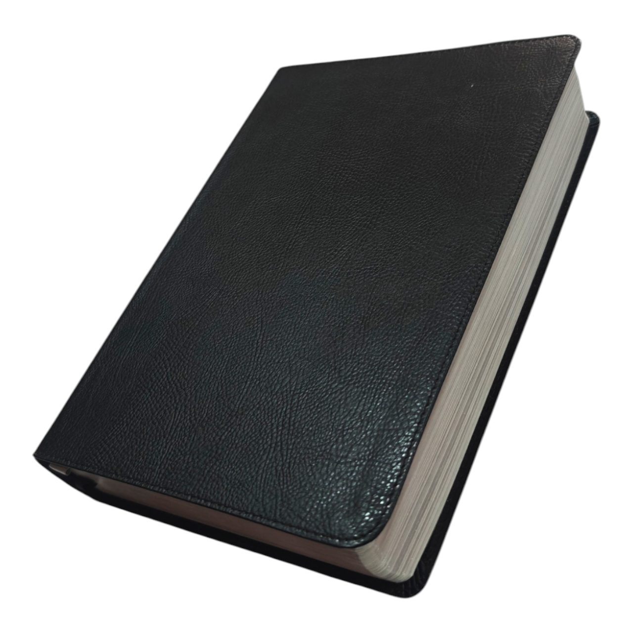 NIV Thompson Chain-Reference Bible, Red Letter, Comfort Print