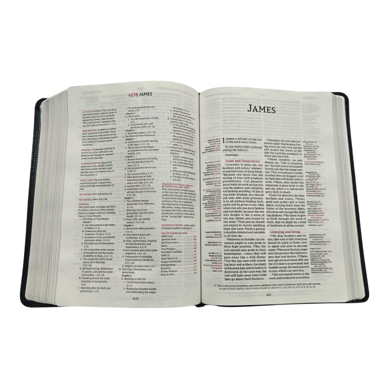 NIV Thompson Chain-Reference Bible, Red Letter, Comfort Print