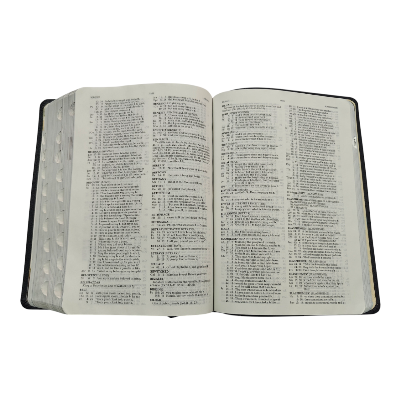 NIV Jeremiah Study Bible, Dr. David Jeremiah, Red Letter Edition