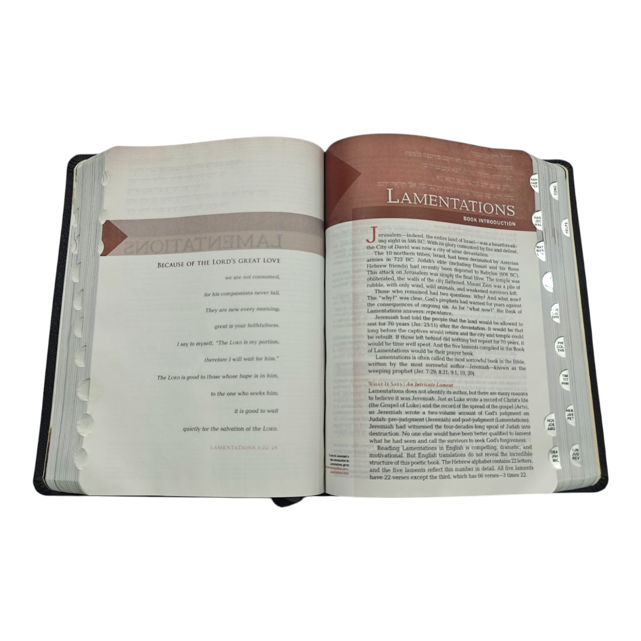 NIV Jeremiah Study Bible – Hardcover, Full-Color Interior, Book-by-Book Devotional Insights & Practical Life Application | ISBN 9781617958151