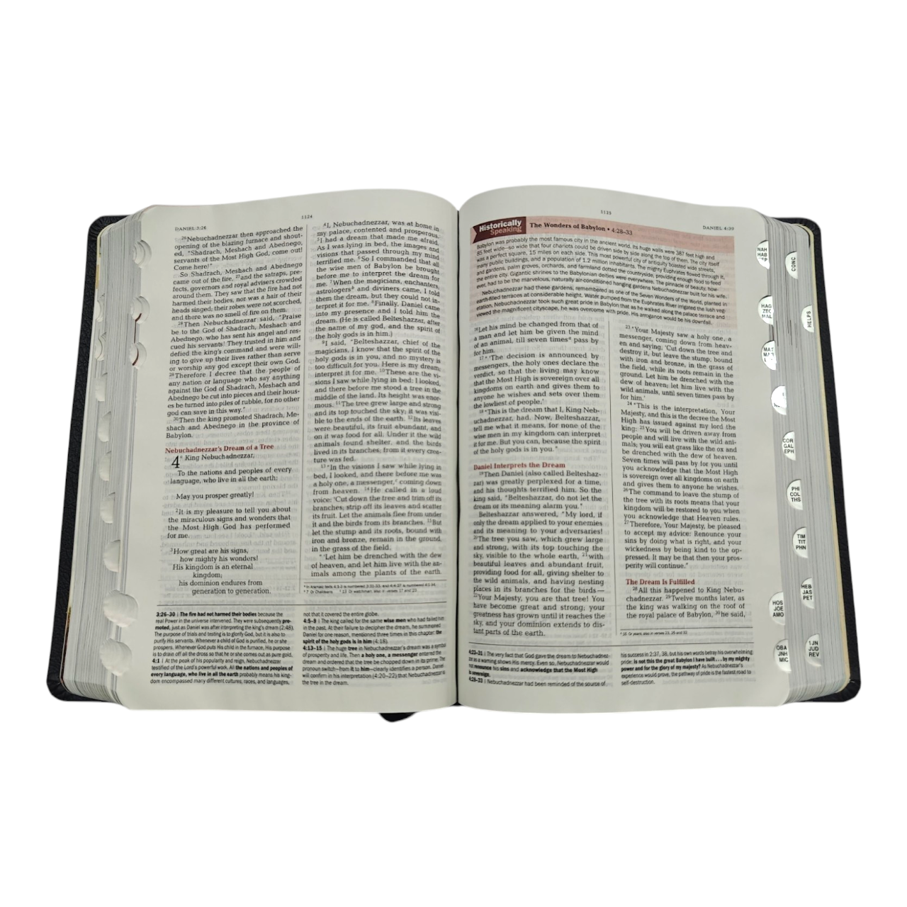 NIV Jeremiah Study Bible – Hardcover, Full-Color Interior, Book-by-Book Devotional Insights & Practical Life Application | ISBN 9781617958151