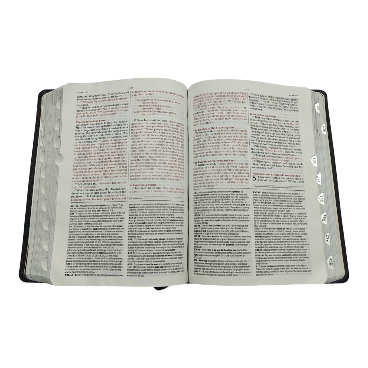 NIV Jeremiah Study Bible, Dr. David Jeremiah, Red Letter Edition