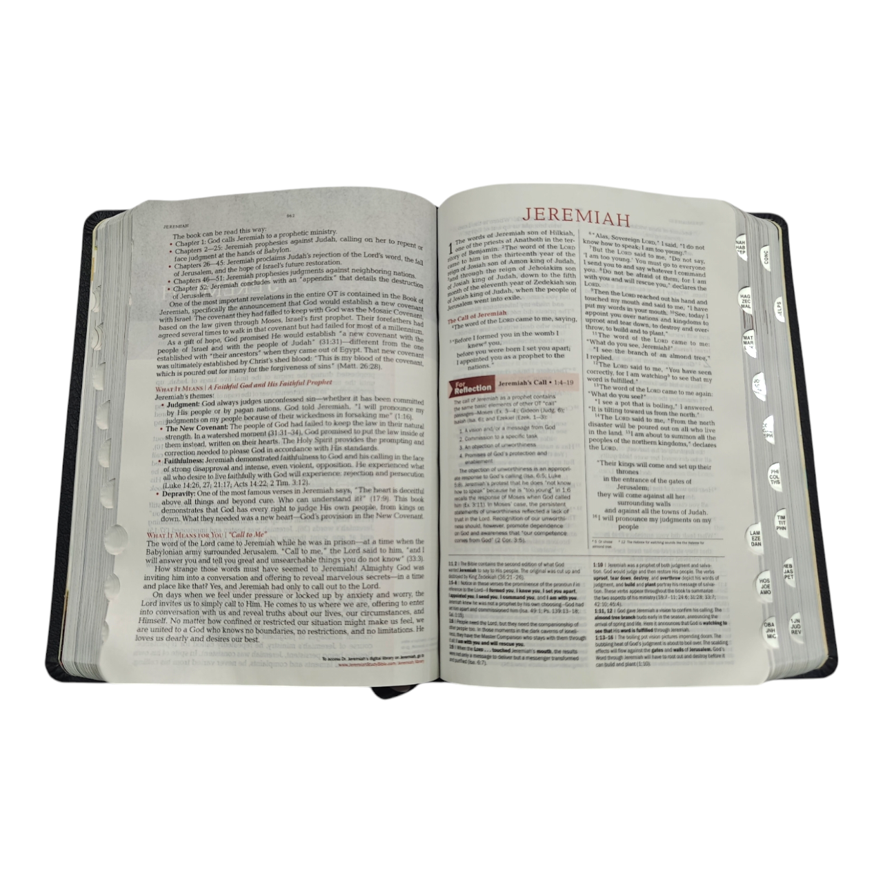 NIV Jeremiah Study Bible, Dr. David Jeremiah, Red Letter Edition