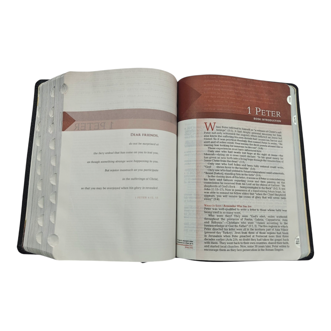 NIV Jeremiah Study Bible, Dr. David Jeremiah, Red Letter Edition