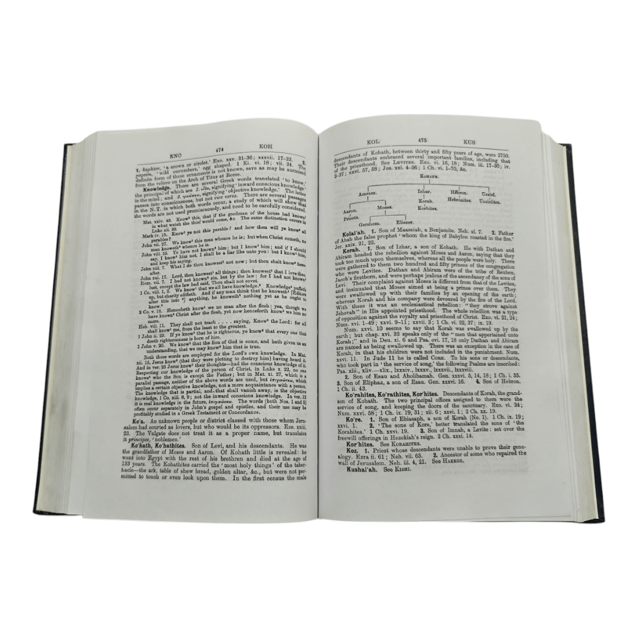 Concise Bible Dictionary | Your Quick & Easy Guide to Understanding Biblical People, Places, and Terms