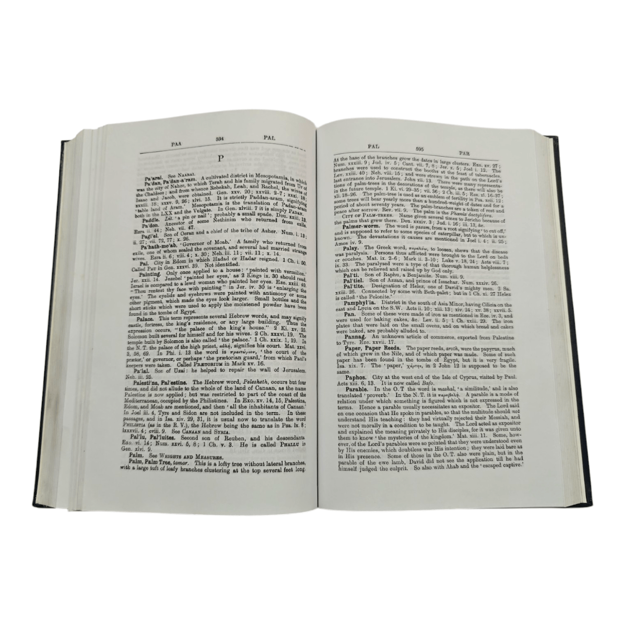 Concise Bible Dictionary | Your Quick & Easy Guide to Understanding Biblical People, Places, and Terms