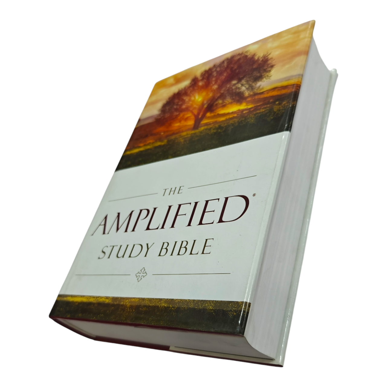 The Amplified Study Bible (AMP), 5,000+ Study Notes & Expanded Word Meanings (Zondervan)