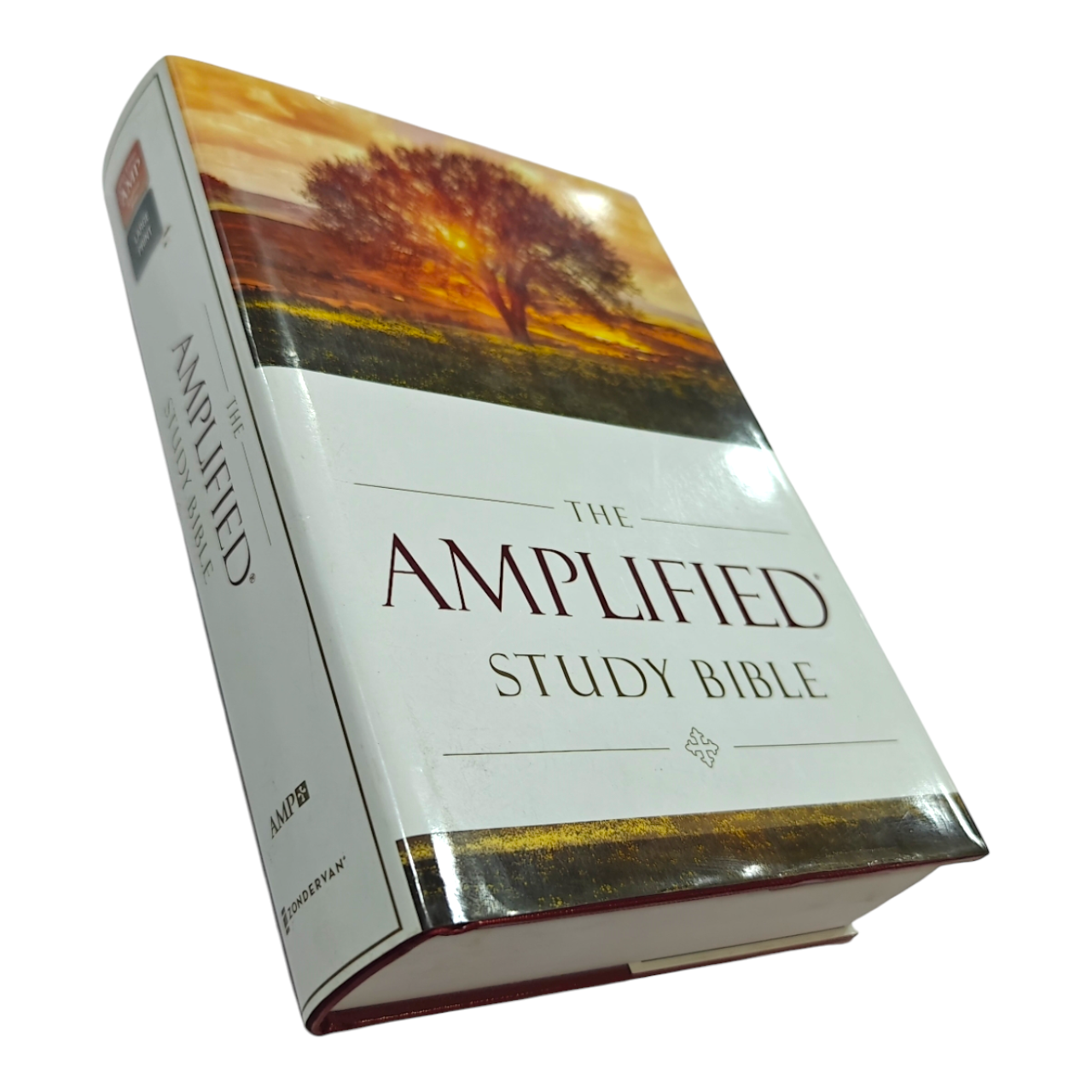 The Amplified Study Bible (AMP), 5,000+ Study Notes & Expanded Word Meanings (Zondervan)