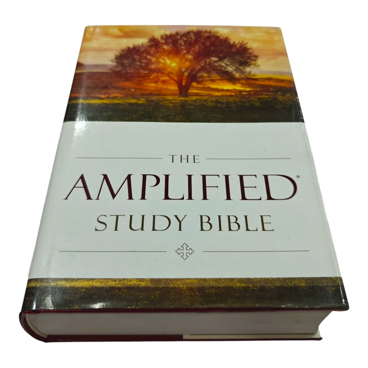 The Amplified Study Bible (AMP), 5,000+ Study Notes & Expanded Word Meanings (Zondervan)