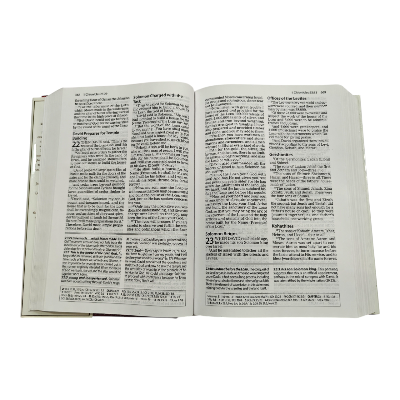 The Amplified Study Bible (AMP), 5,000+ Study Notes & Expanded Word Meanings (Zondervan)