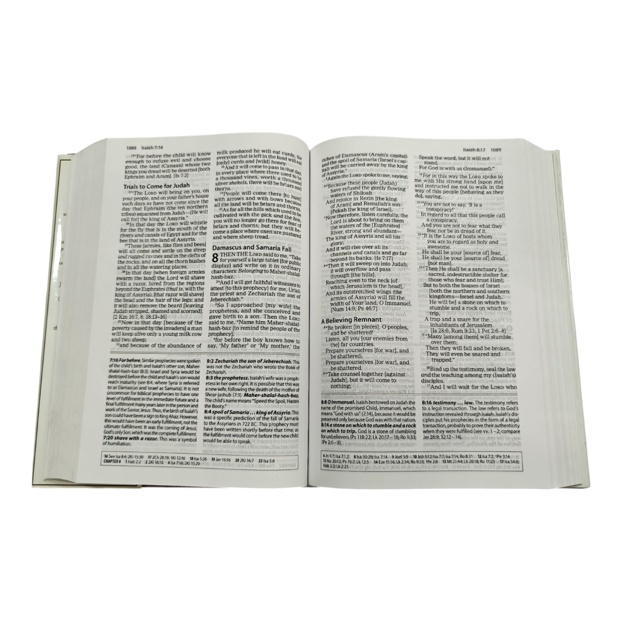 The Amplified Study Bible (AMP), 5,000+ Study Notes & Expanded Word Meanings (Zondervan)