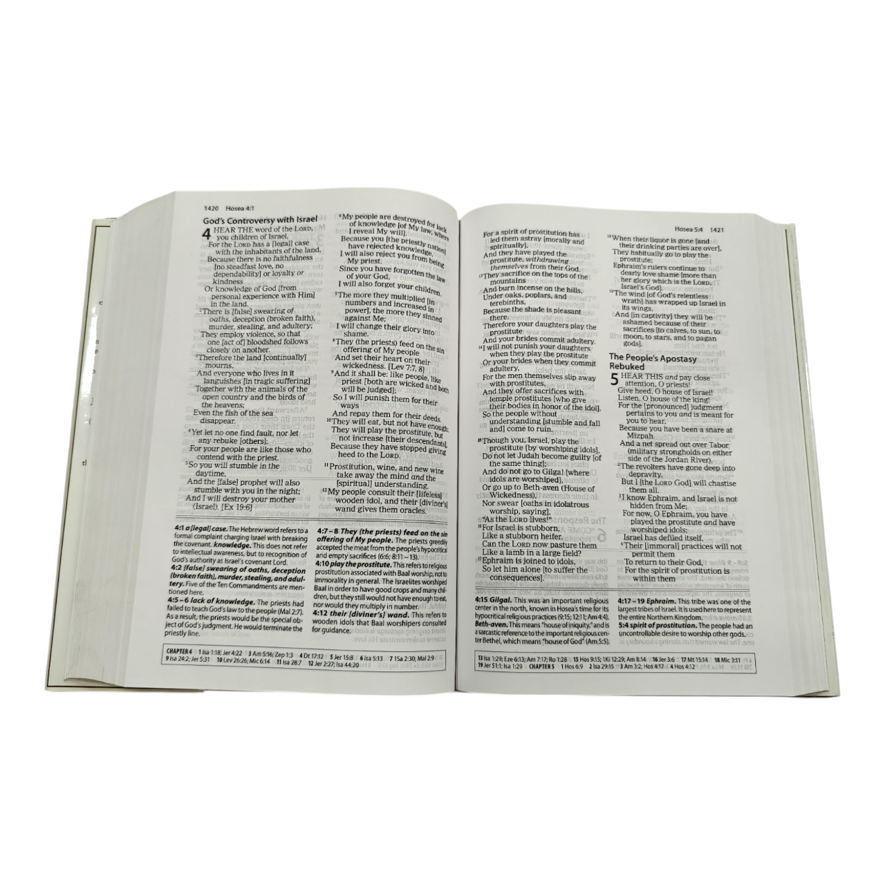 The Amplified Study Bible (AMP), 5,000+ Study Notes & Expanded Word Meanings (Zondervan)