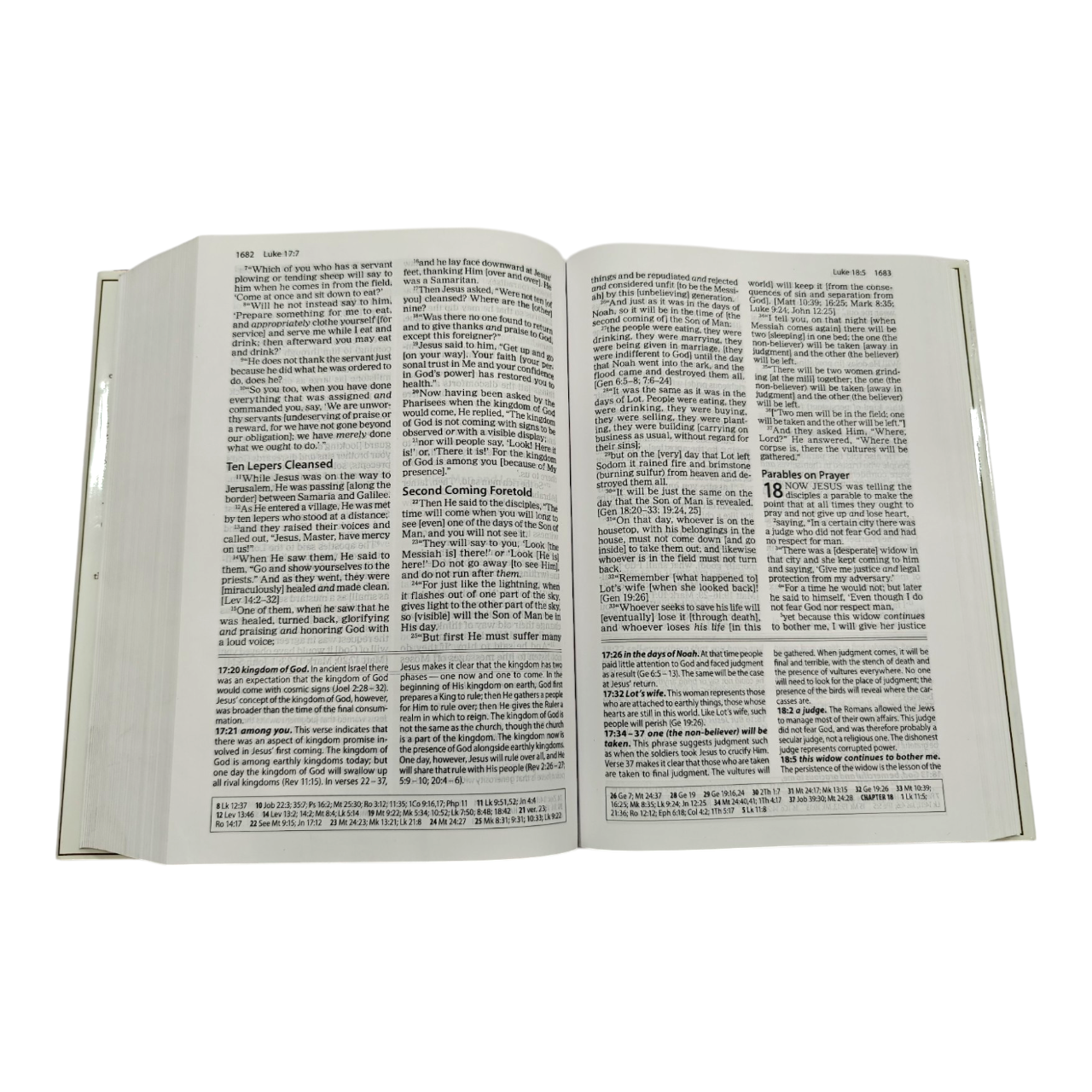 The Amplified Study Bible (AMP), 5,000+ Study Notes & Expanded Word Meanings (Zondervan)