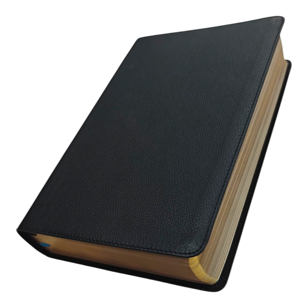 NIV The Woman's Study Bible, Full-Color, Red Letter