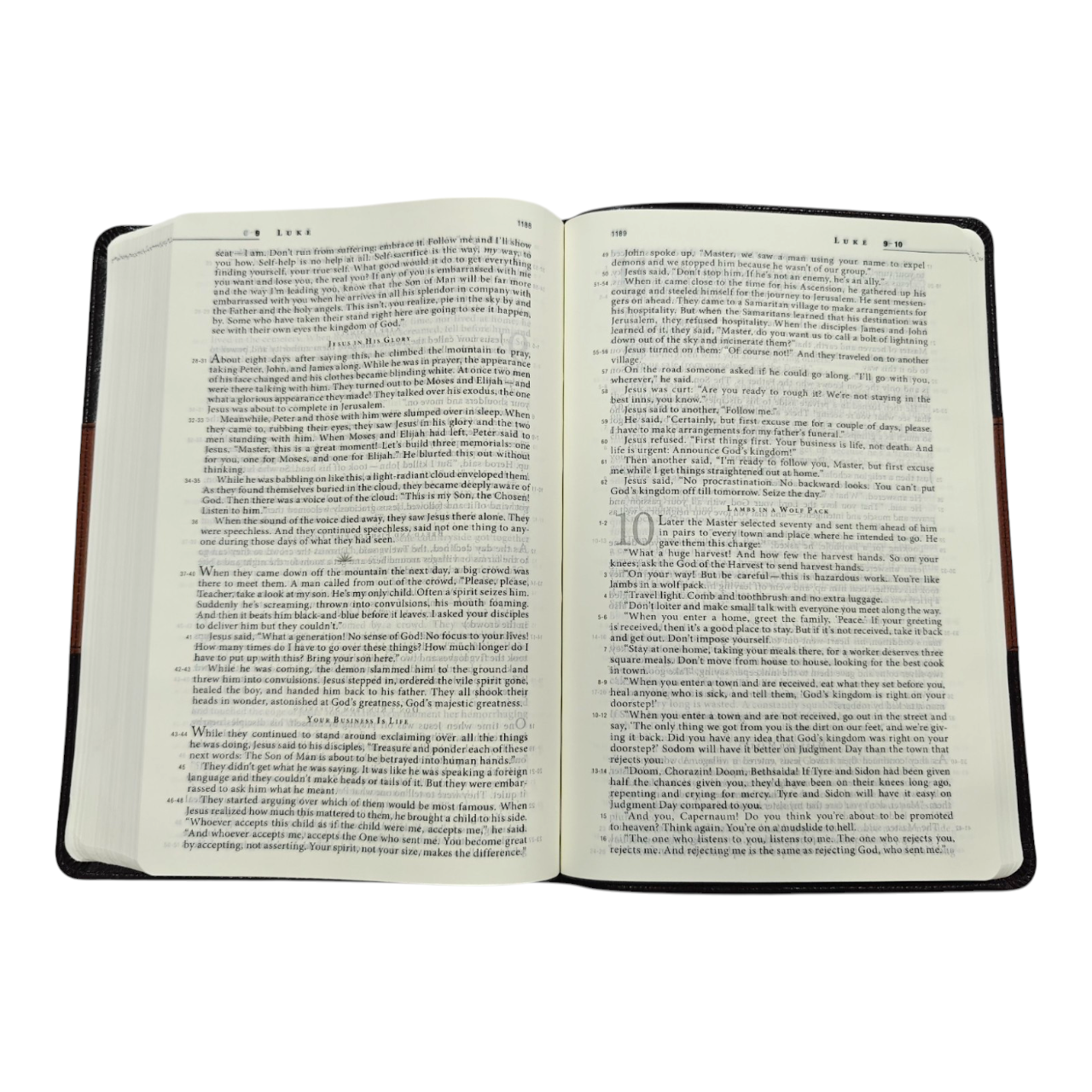 The Message Bible Compact Leathersoft Contemporary Paraphrase