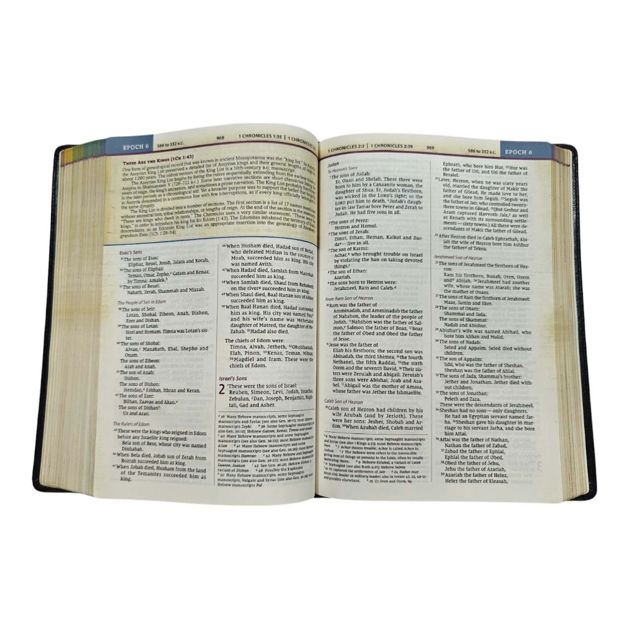 NIV, Chronological Study Bible, Hardcover, Comfort Print