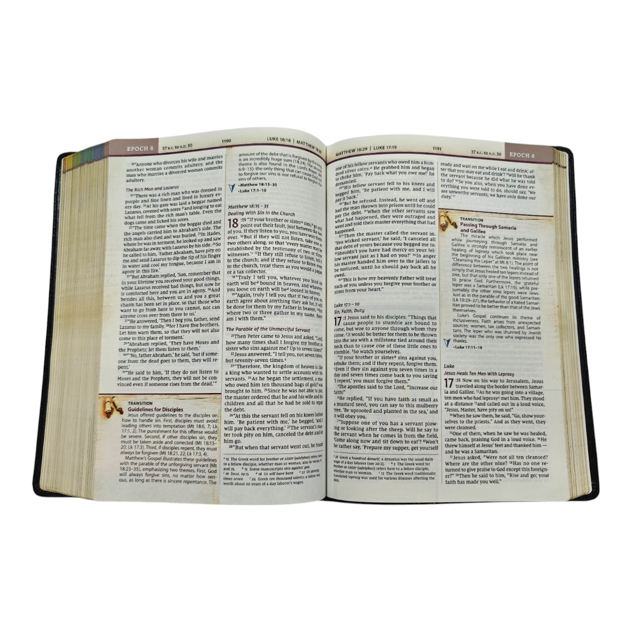 NIV, Chronological Study Bible, Hardcover, Comfort Print