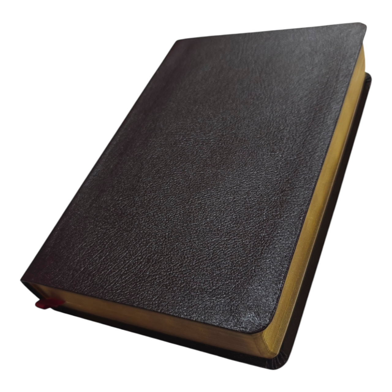 The Vine's Expository Bible – Commentary and Study Notes for Deeper Understanding (ISBN: 9780718098629)