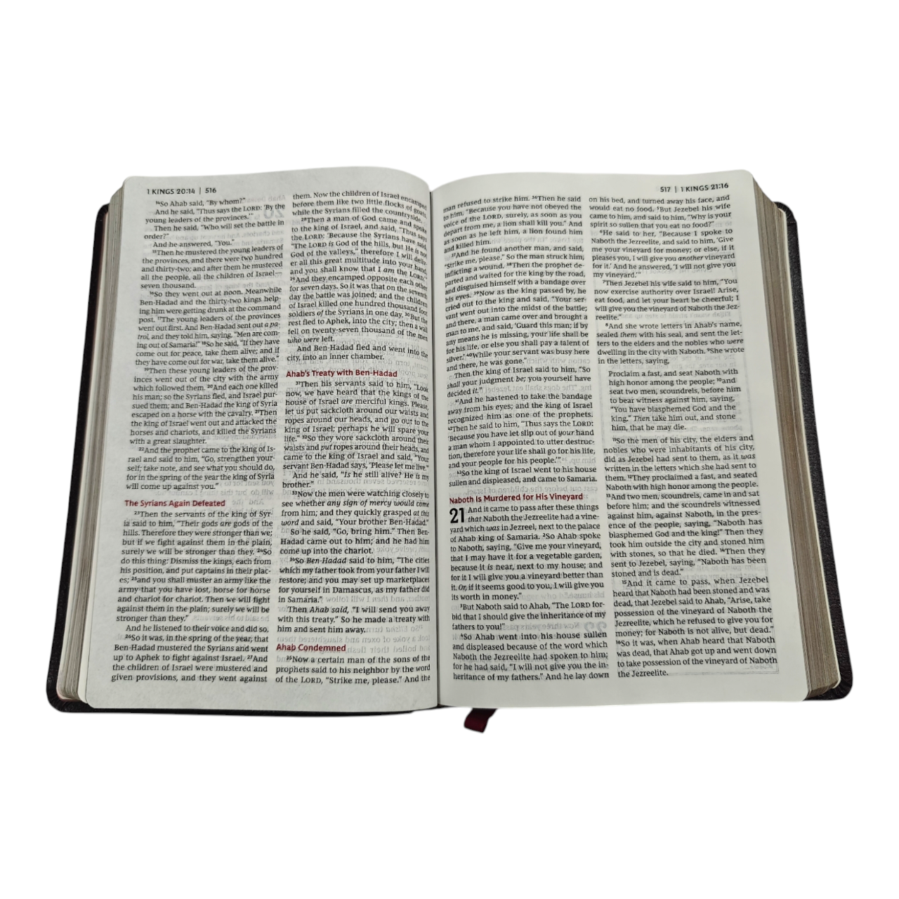 The Vine's Expository Bible – Commentary and Study Notes for Deeper Understanding (ISBN: 9780718098629)