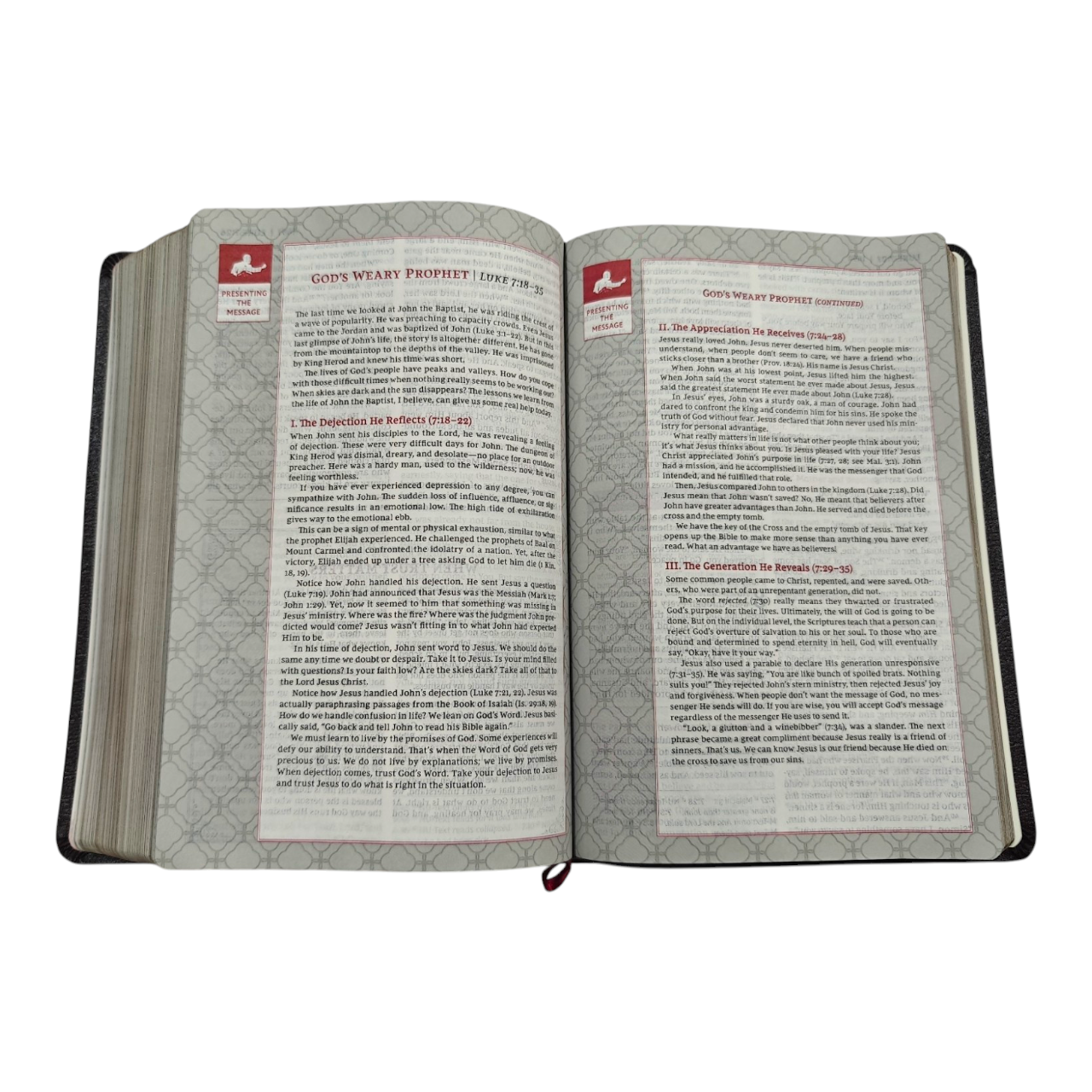 The Vine's Expository Bible – Commentary and Study Notes for Deeper Understanding (ISBN: 9780718098629)