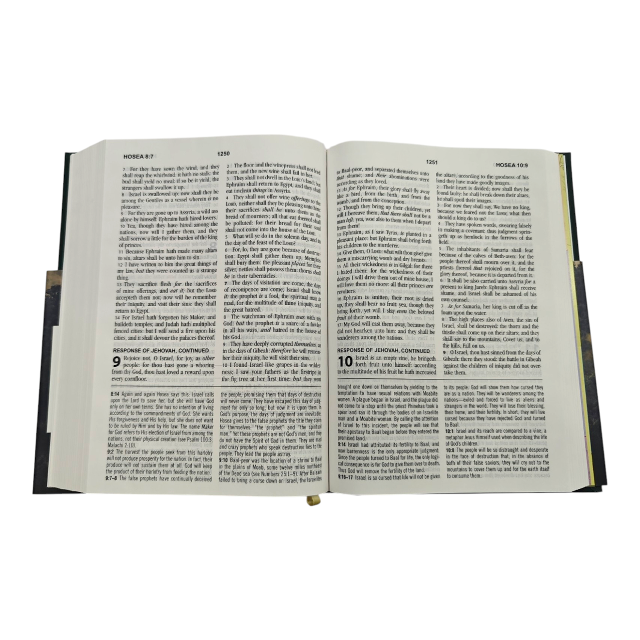 KJV Study Bible Large Print King James Version
