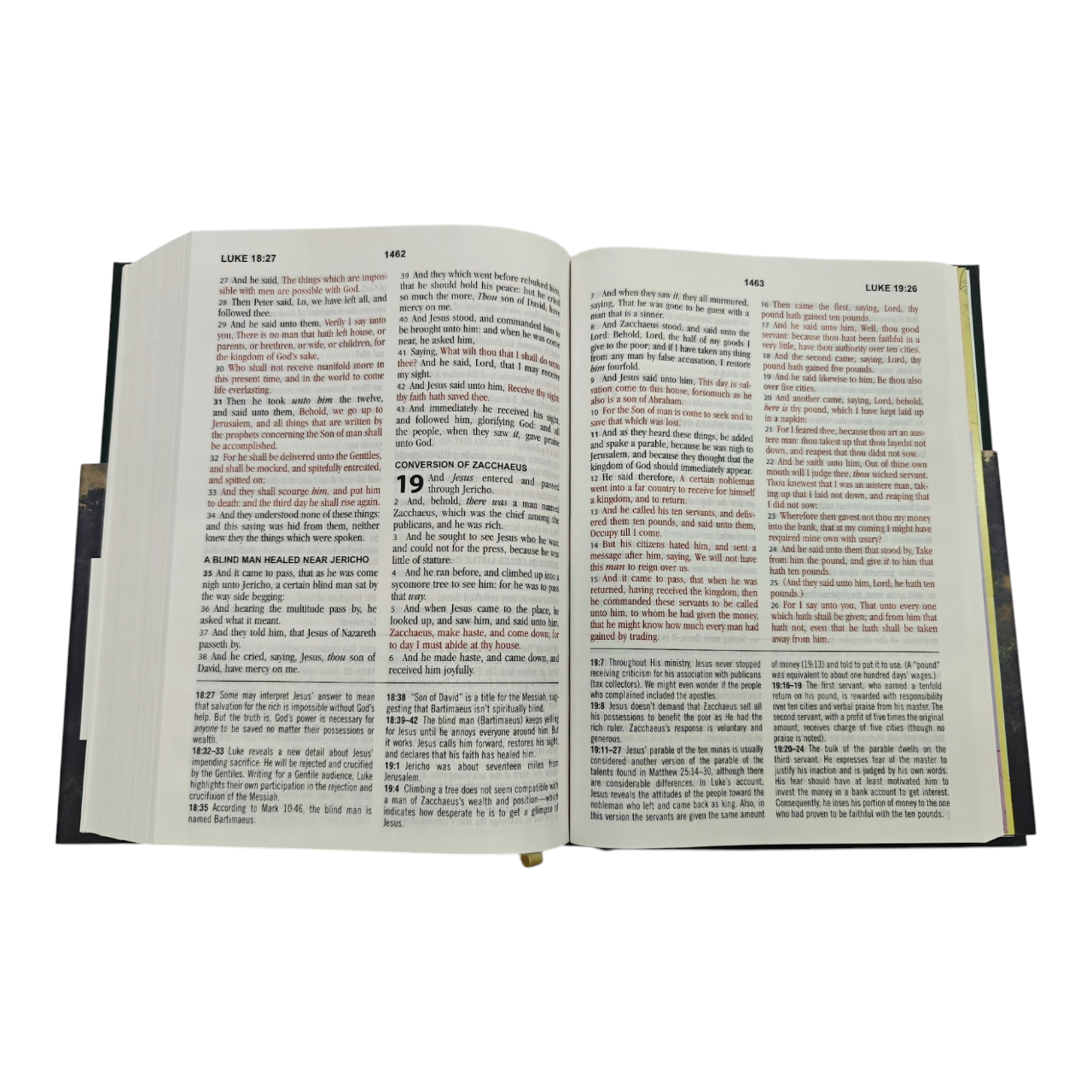 KJV Study Bible Large Print King James Version
