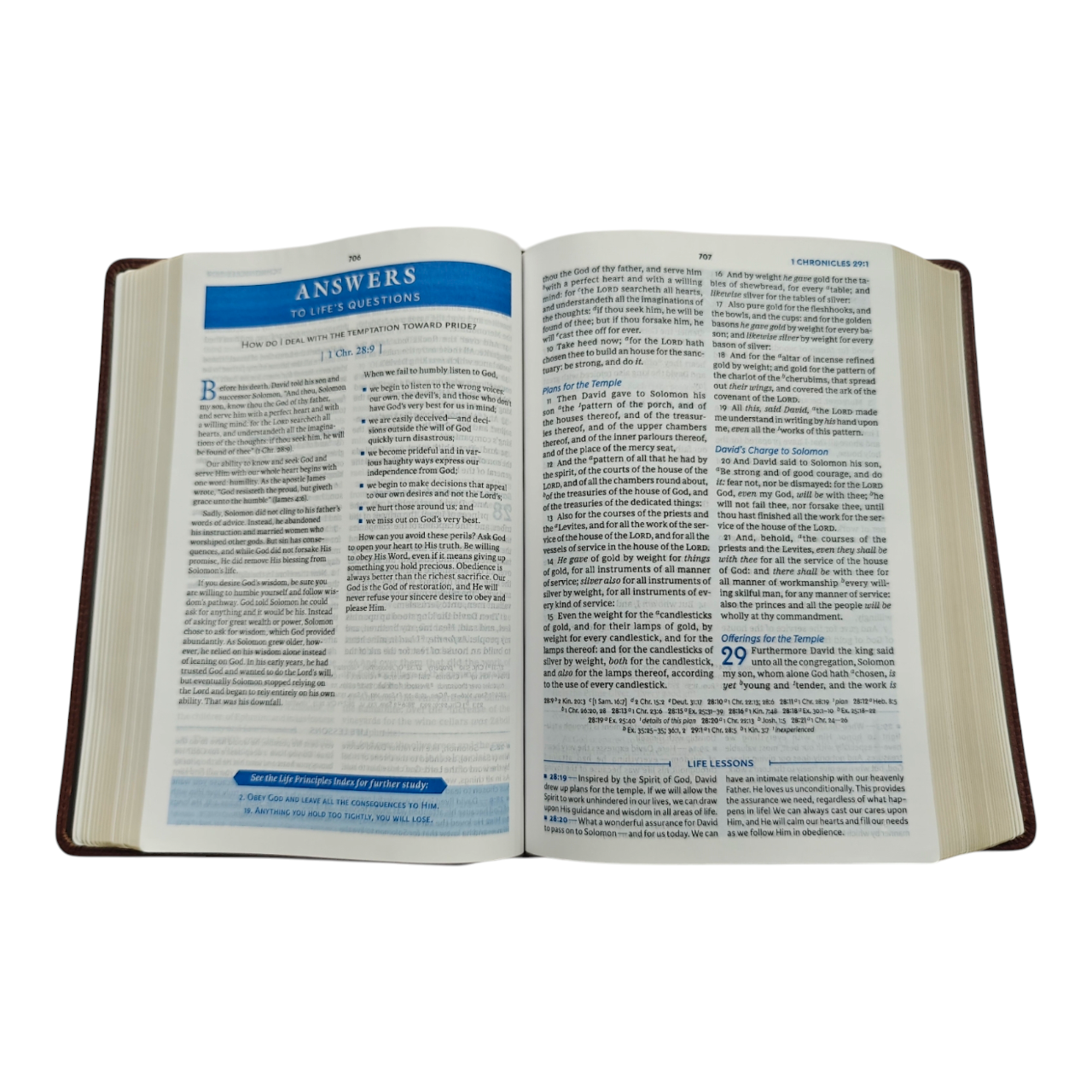 KJV Charles F. Stanley Life Principles Bible - Brown Genuine Leather (King James Version)